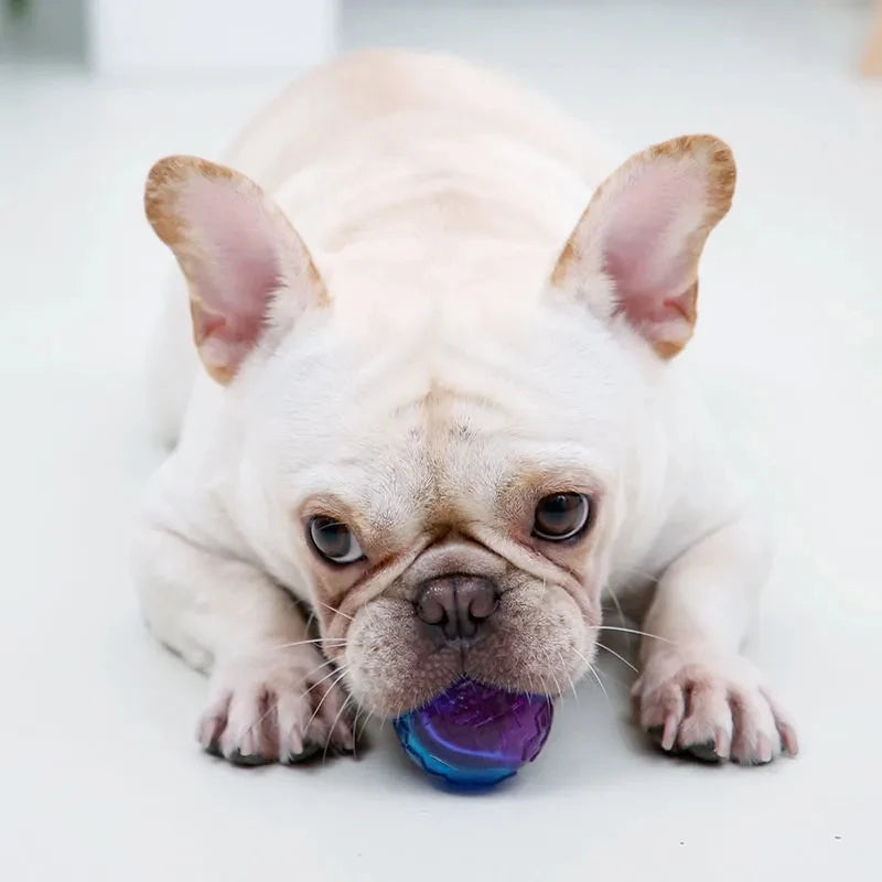 Dog Toys for Large Dogs Interactive Training Ball Puppy Pitbull Labrador Samoyed Sausage Dog Outdoor Interactive Game Chew Toys