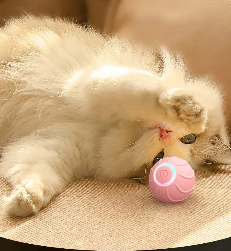 Smart Cat Toys Rolling Ball Pet Cat Interactive Toys Automatic Bounce Ball USB Self Teasing Kittens Jump Ball Dog Training Toys