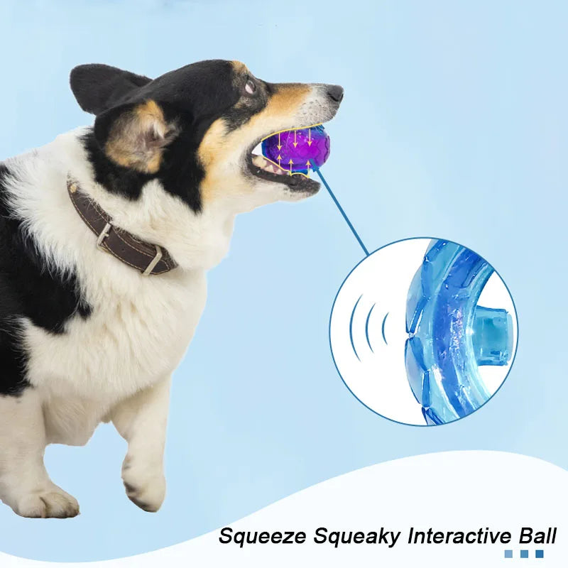 Dog Toys for Large Dogs Interactive Training Ball Puppy Pitbull Labrador Samoyed Sausage Dog Outdoor Interactive Game Chew Toys