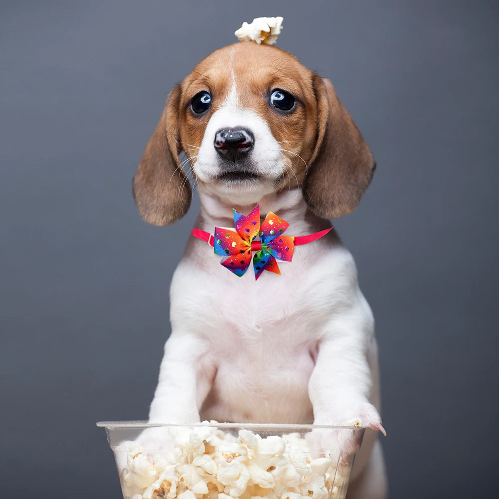 100pcs Pet Bow Tie Spring Dog Accessories Pet Supplies Small Dog Cat Bowtie Collar Cute Pet Grooming Products