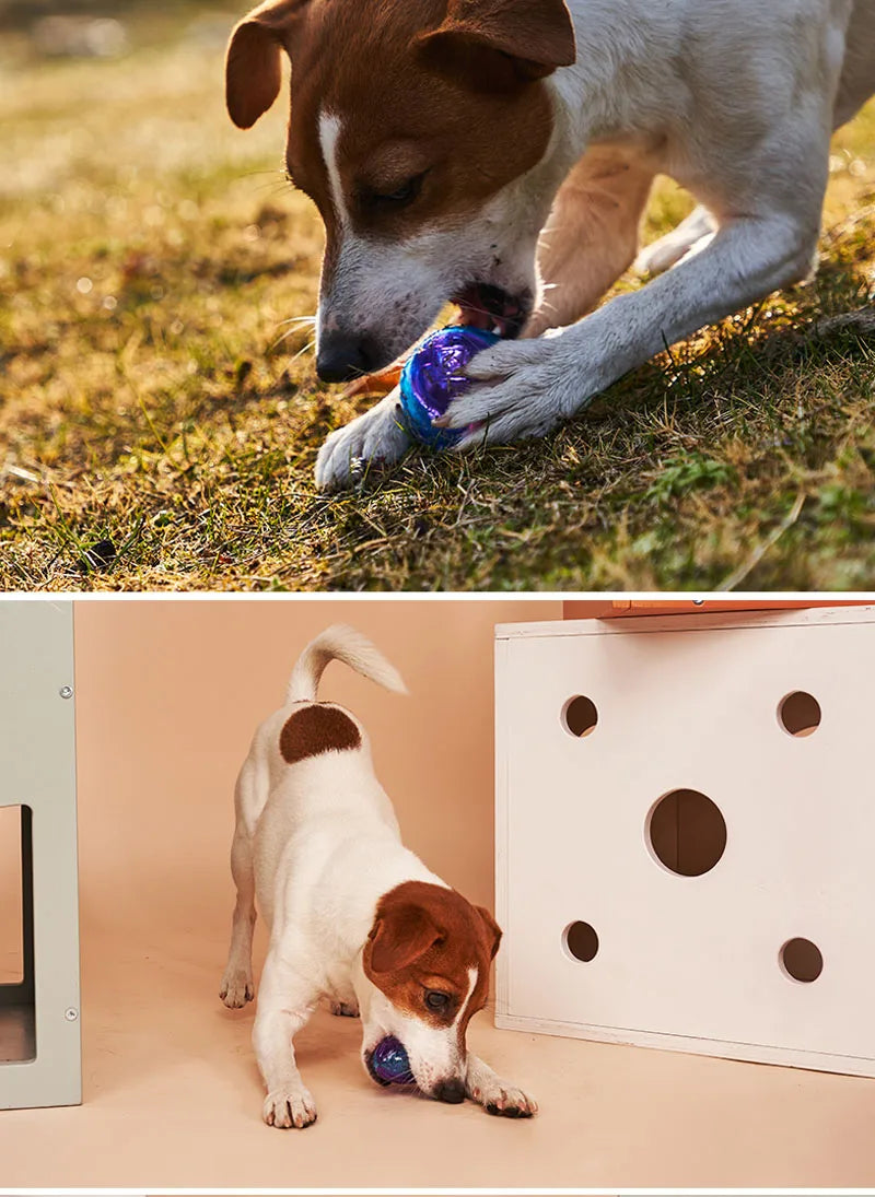 Dog Toys for Large Dogs Interactive Training Ball Puppy Pitbull Labrador Samoyed Sausage Dog Outdoor Interactive Game Chew Toys