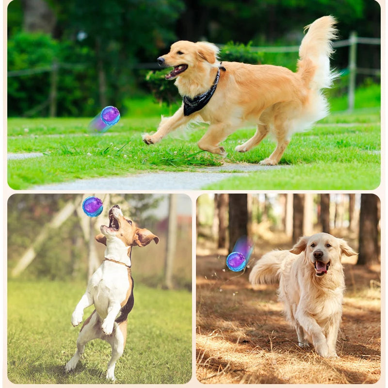 Dog Toys for Large Dogs Interactive Training Ball Puppy Pitbull Labrador Samoyed Sausage Dog Outdoor Interactive Game Chew Toys