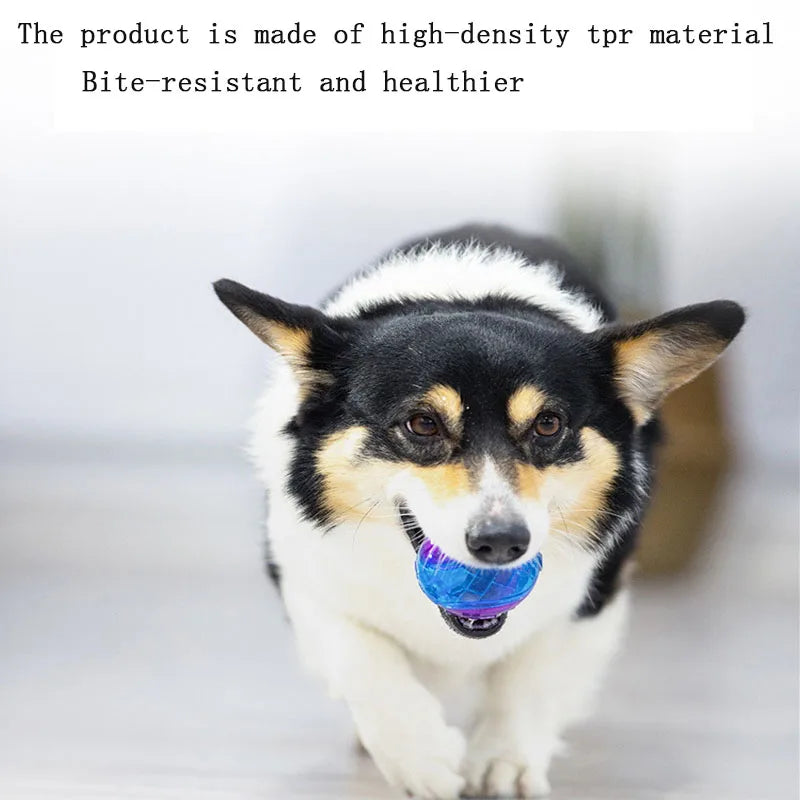 Dog Toys for Large Dogs Interactive Training Ball Puppy Pitbull Labrador Samoyed Sausage Dog Outdoor Interactive Game Chew Toys