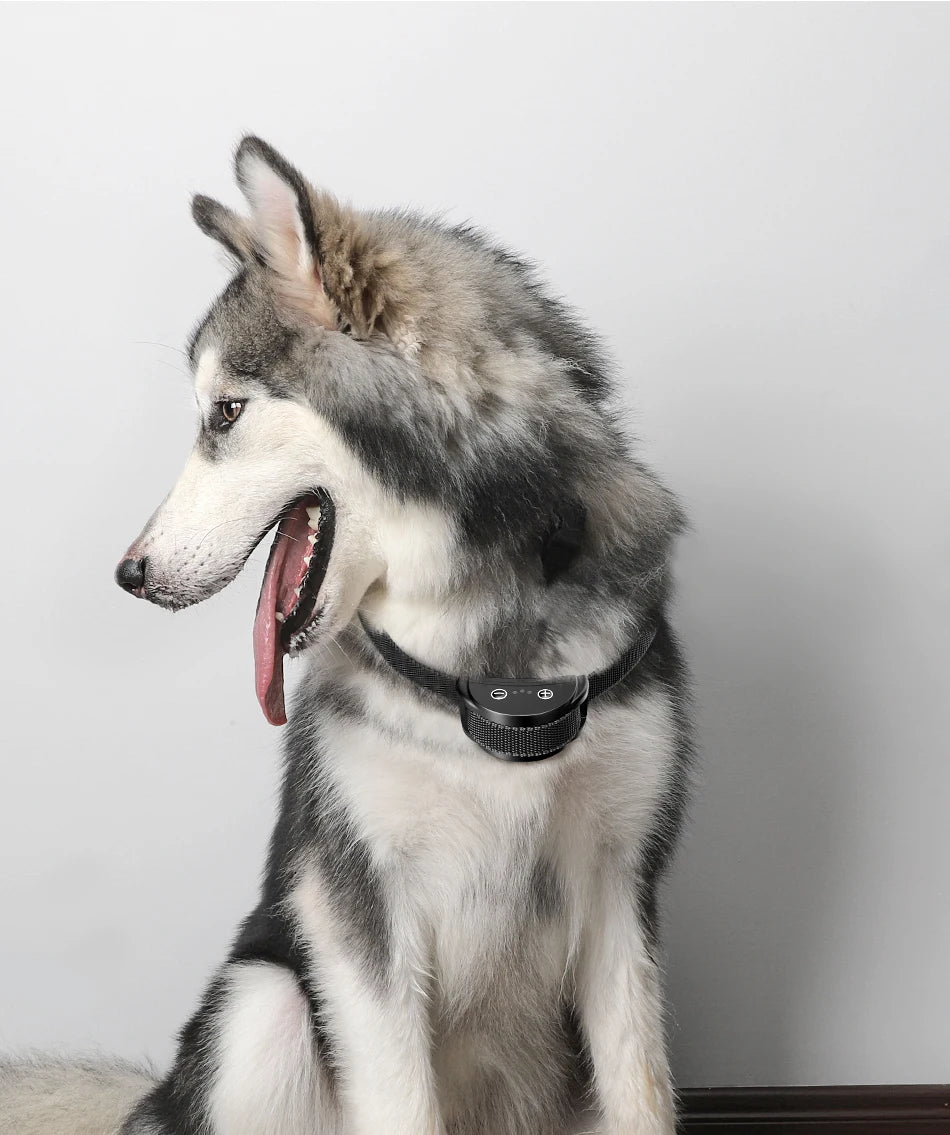 ROJECO Intelligent Training Collar Dog Anti Bark Collar Rechargeable Bark Control Collar For Dogs Electric Anti-Barking Devices