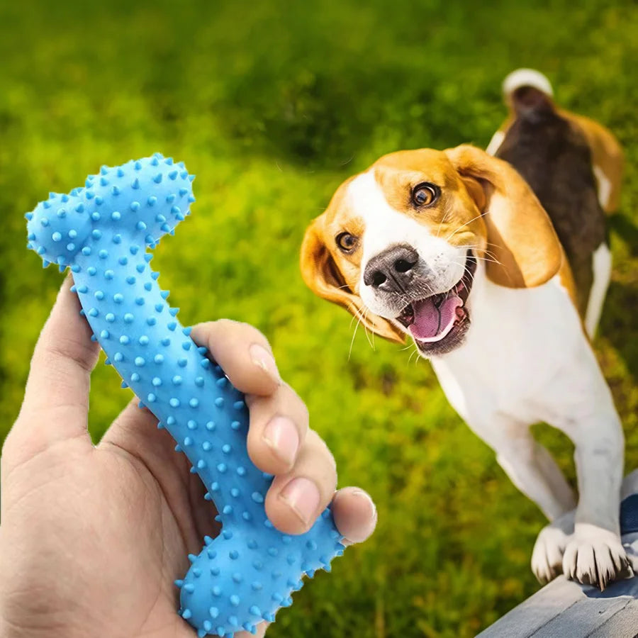 1/3pcs Small Chew Dog Toys Dog Rubber Toothbrush Stick Chew Toys For Training Chew Teeth Cleaning Pet Bone Shaped Toys