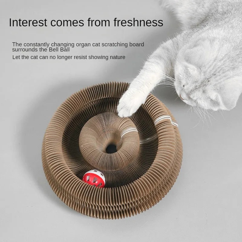 Magic Organ Cat Toy Cats Scratcher Scratch Board Round Corrugated Scratching Post Toys for Cats Grinding Claw Cat Accessories