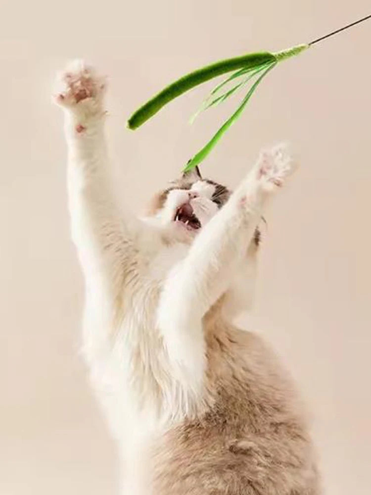 New Cat toys, dog tail grass teasing cat pole feather pole wire cat toys, feather pole, flexible wire durable pet supplies