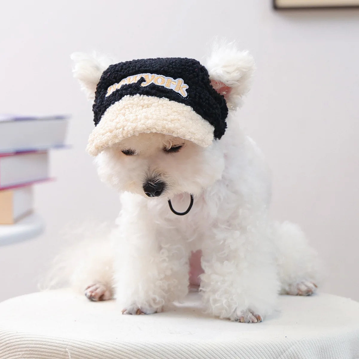 Pet Lamb Fleece Warm Hat Cat Small Dog Outdoor Leisure Embroidery Baseball Hat Dog Accessories for Small Dogs