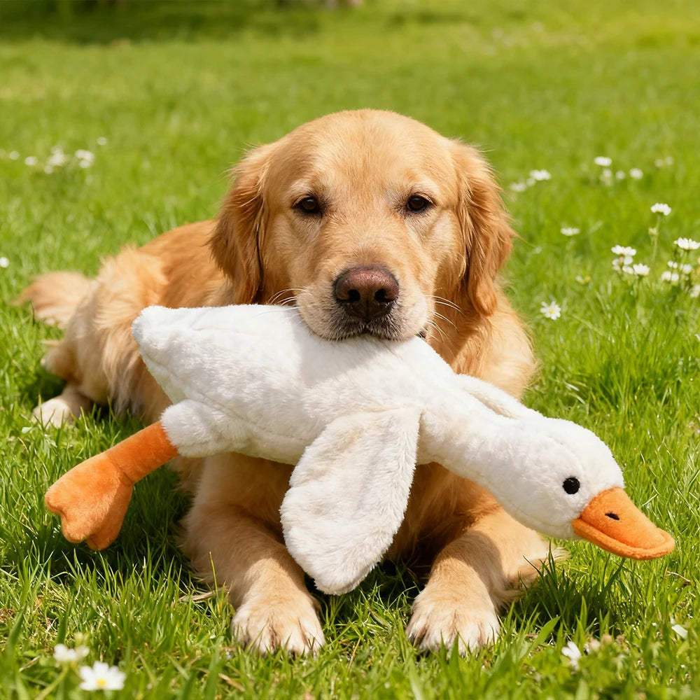 Plush, vocal, companion dog toys suitable for all breeds of cats and dogs, with double-layer fabric for tear resistance