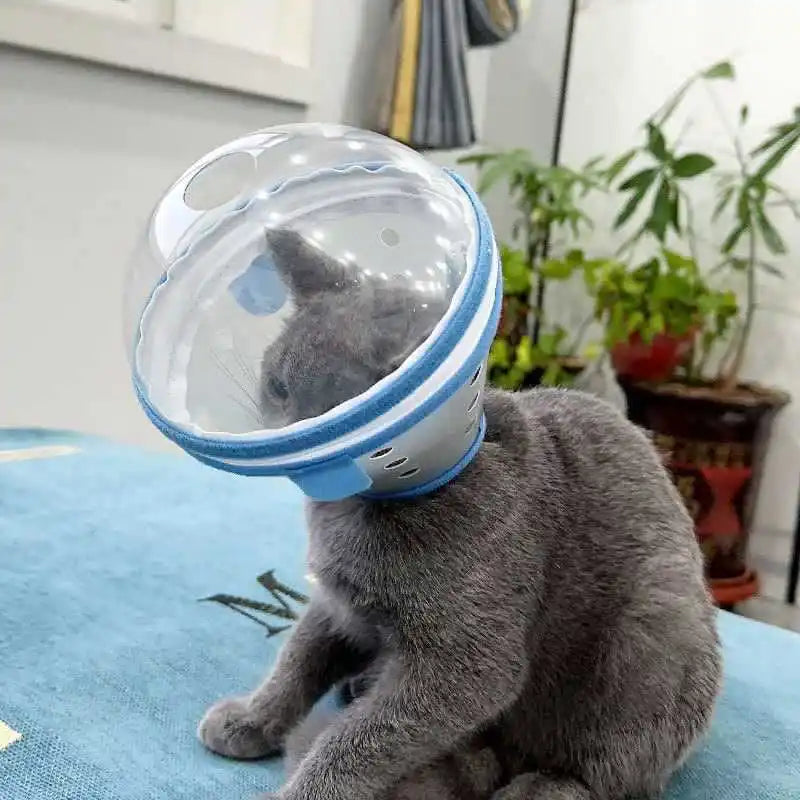 Elizabethan Space Dog Collar Prevents Liing Biting And Foot Chewing Anti-Colion Ne Ring for Blind Dogs Universal Dog Accessories