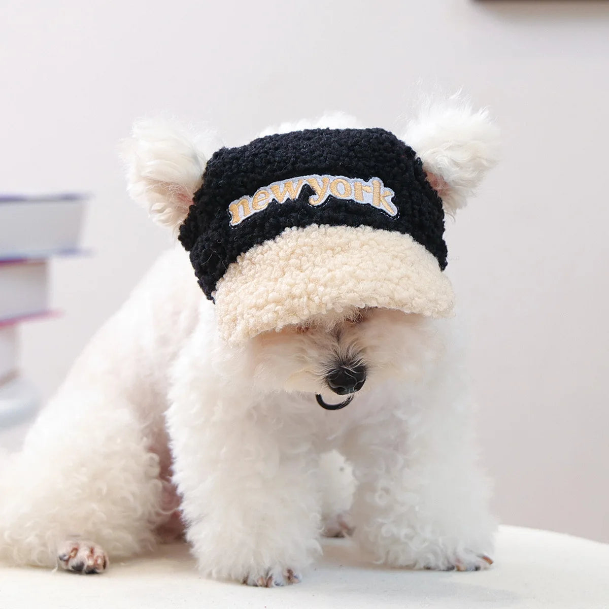 Pet Lamb Fleece Warm Hat Cat Small Dog Outdoor Leisure Embroidery Baseball Hat Dog Accessories for Small Dogs