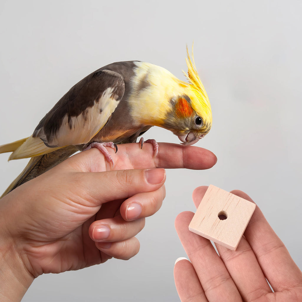 100 Pcs Parrot Wood Chips Blocks DIY Bird Chew Toy Parts & Pet Supplies Durable Chewing Blocks for Parrots  Boredom Relief