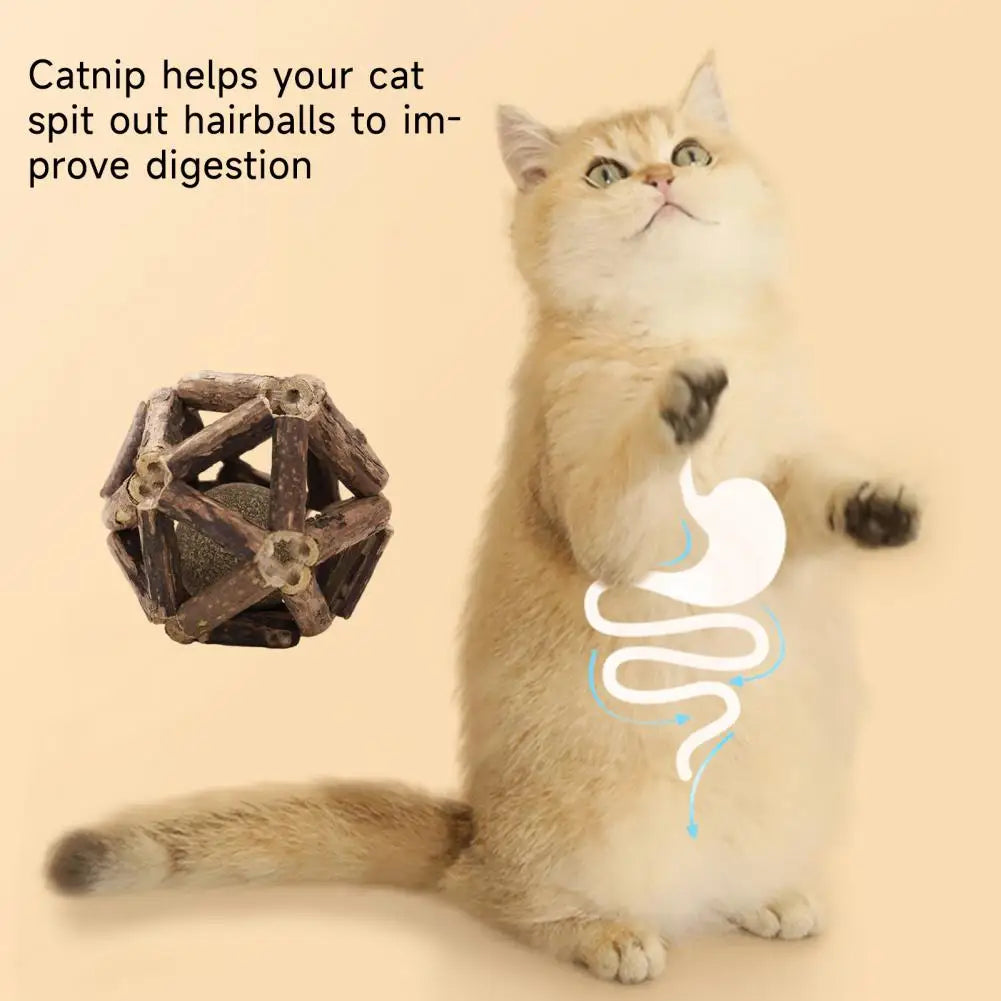 Catnip Silvervine Cat Toys Plaque Tartar Elimination Toys Natural Catnip Silvervine Ball Toy Set for Dental for Indoor for Teeth