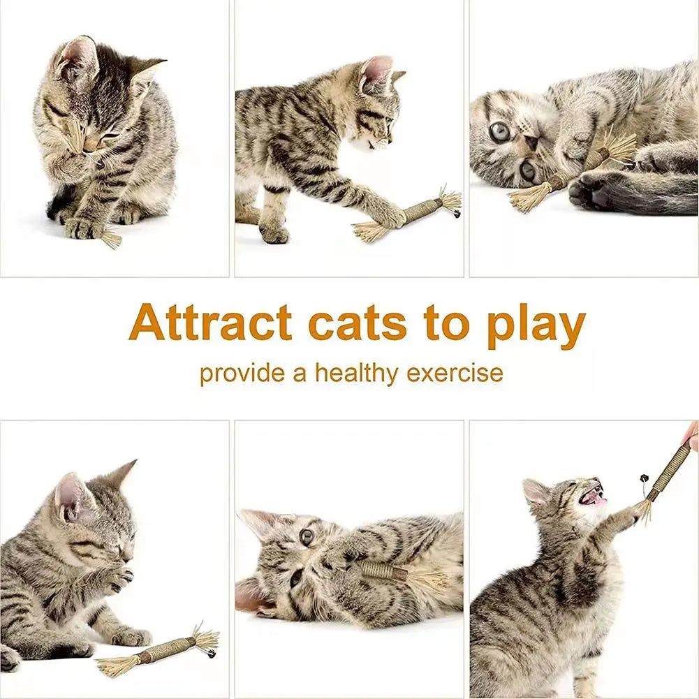 Cat Toys Silvervine Chew Stick Kitty Raffia Grass Pet Supplies Cleaning Teeth Stick Pet Bite Cat Toy Hemp Rope Teeth Cleaning To