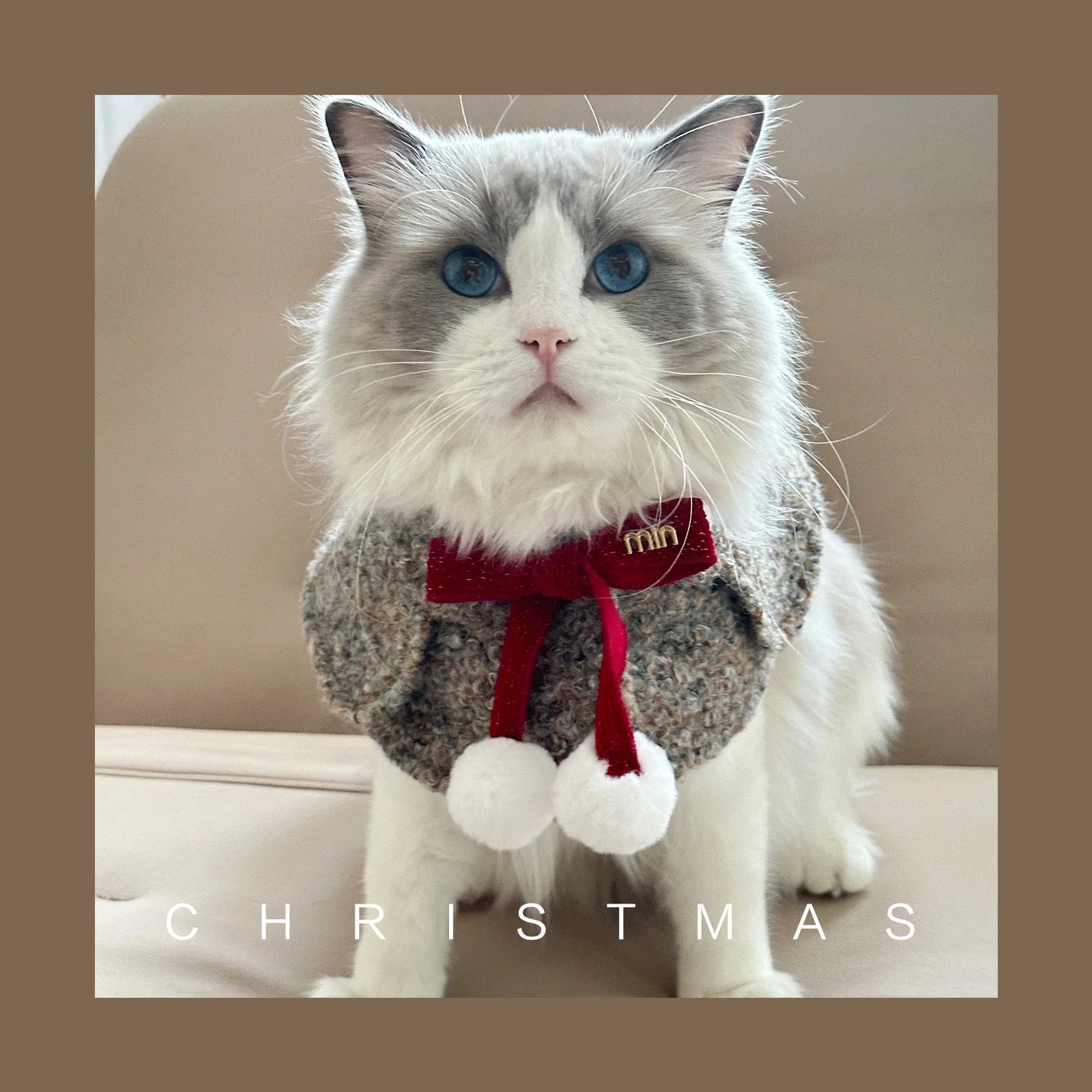 Princess Please for Christmas! Pet Bow Tie Cloak Collar Medium Dog Drool Towel Fall & Winter Dog Accessories