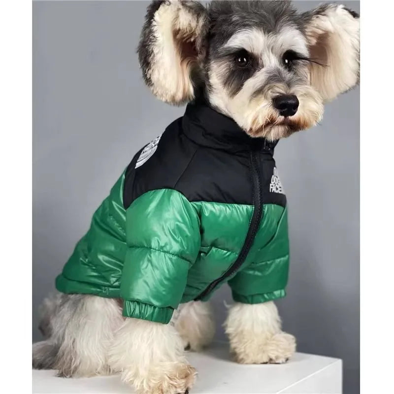 Pet Dog Accessories Dogs Winter Clothes Small Breeds Soft Medium Luxury Clothing Cute York Pets Acessorios Dachshund Dress Goods