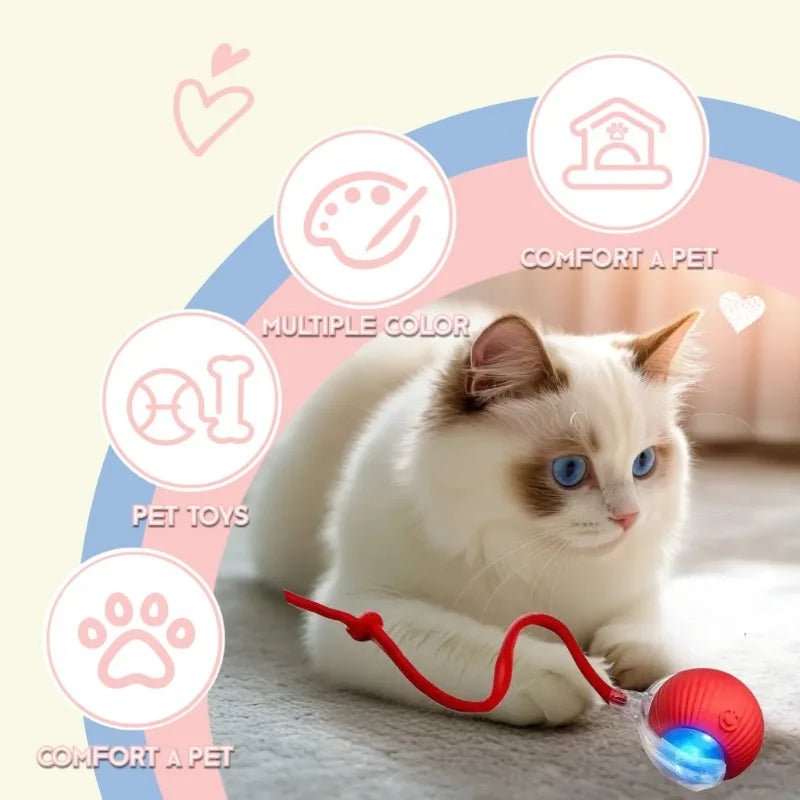 Interactive Toy for Cats Toy Automatic Rolling Ball Cat Accessories Rolling Ball Magic Ball Toys for Cat Training Imitate Mouse