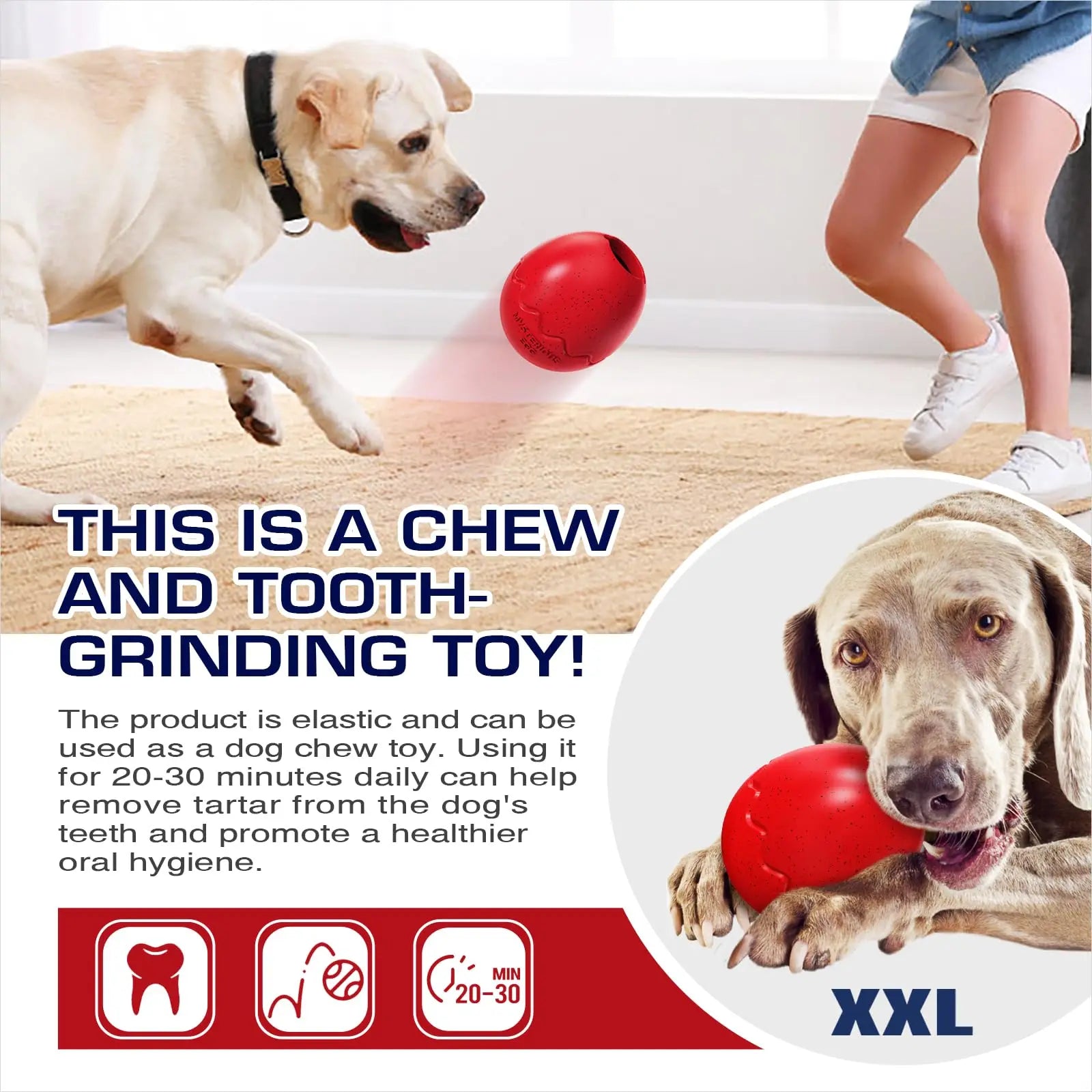 Dog Chew Toys Larger Dinosaur Egg Shape Pet Toys Slow Feeder Clean Teeth Interactive Food Cups Release Anxiety Dog Accessories