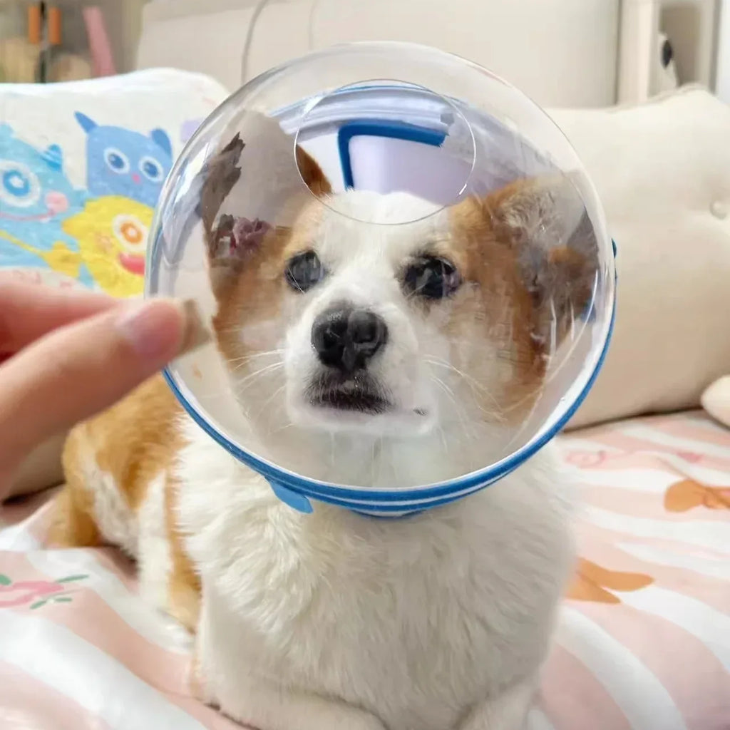 Elizabethan Space Dog Collar Prevents Liing Biting And Foot Chewing Anti-Colion Ne Ring for Blind Dogs Universal Dog Accessories