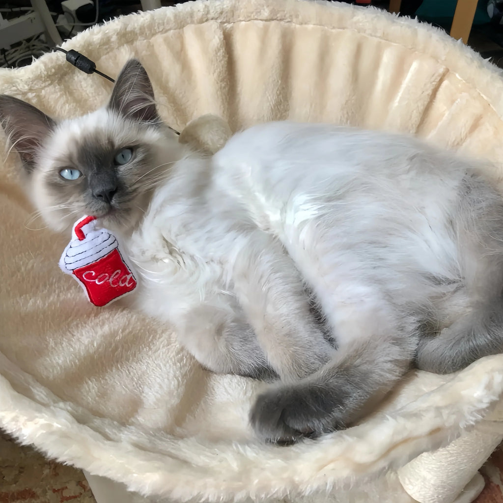 Pet Cute Plush Toy Set Cat Toy With Catmint Kitten Catnip Toy With Scent Cat Mini Catnip Toy Chewing Teeth Grinding Pet Supplies