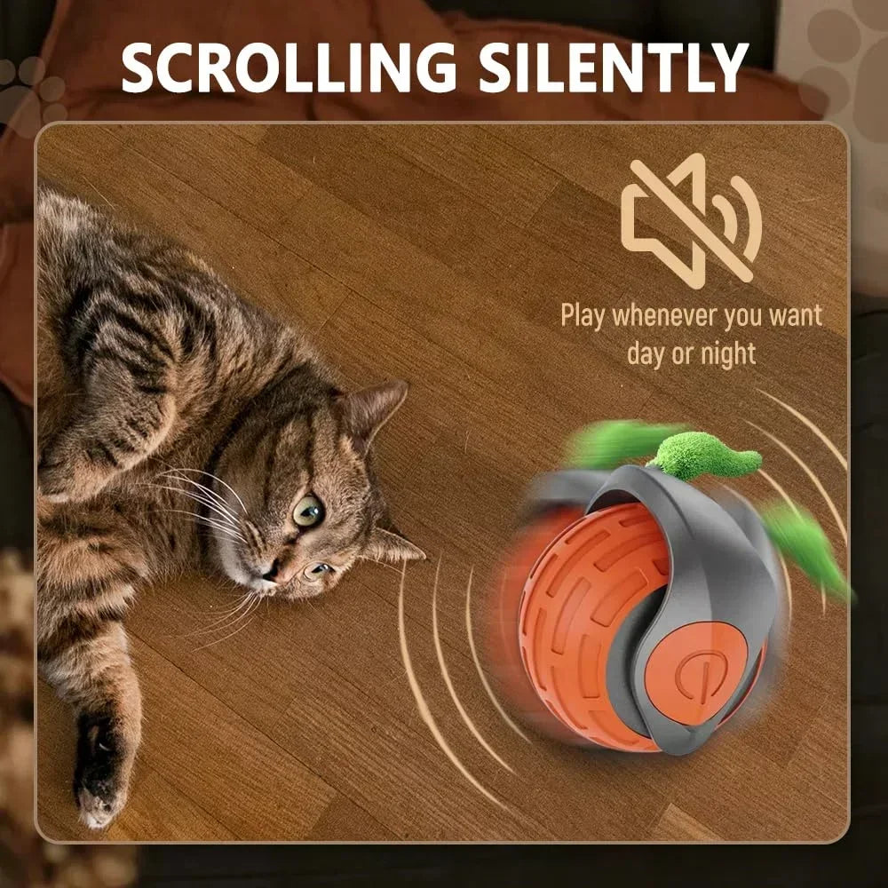 Speedy Tail 2.0 Interactive Cat Toy Balls Touch Motion Activated Rolling Ball with Type C Cord Tail for Indoor & Outdoor Cats
