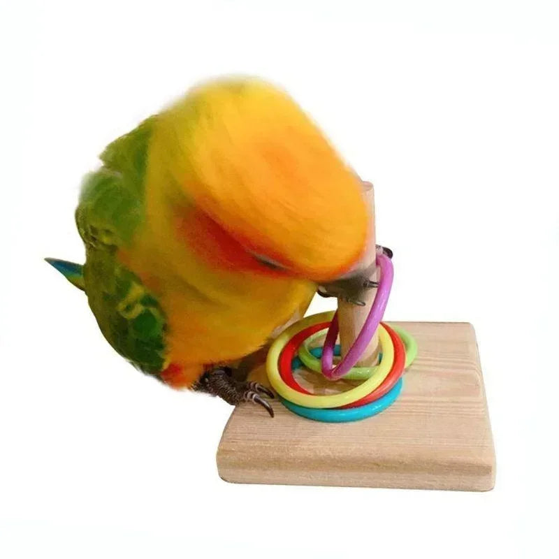 Bird Training Ring Toy Wooden Parrot Educational Toys Intelligence Training Interactive Bird Toys Bird Supplies Random Color