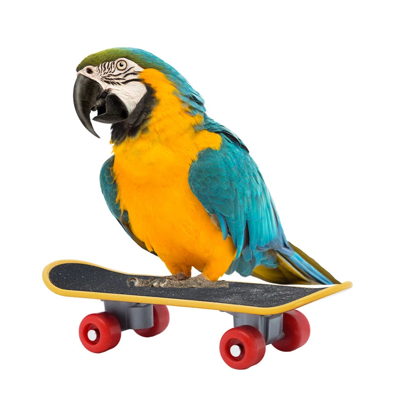 Bird Toys Funny Parrot Mini Skateboard Toy Birds Training Skateboard For Budgies Parakeet Growth Toy Pet Toy Bird Accessories
