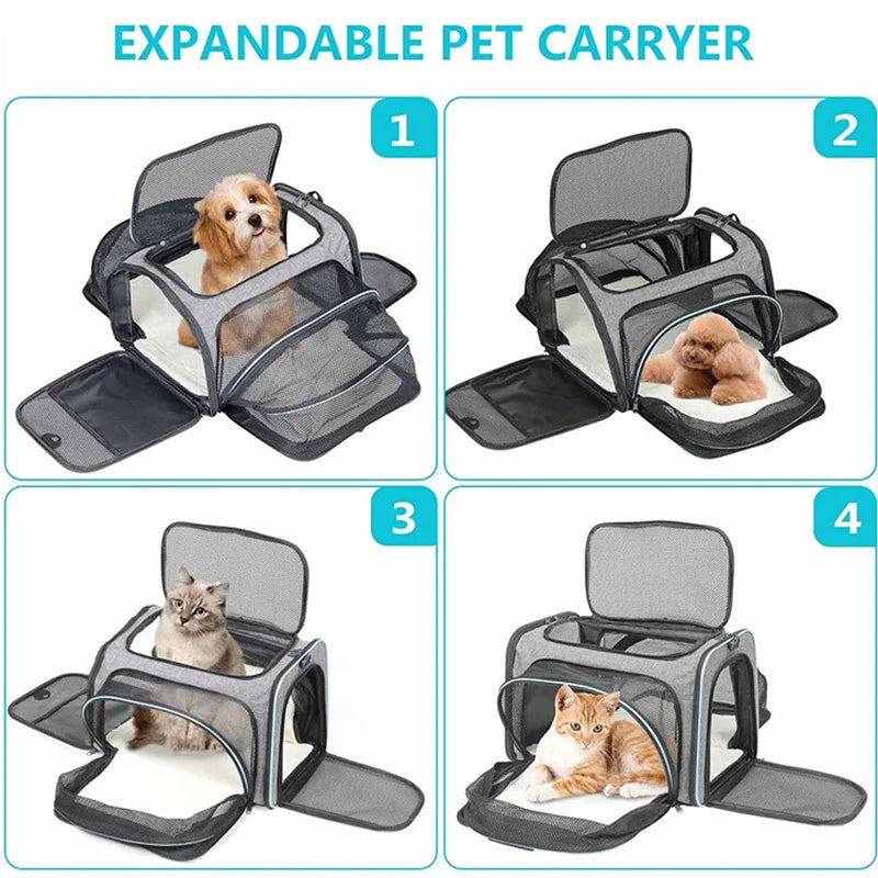 Cat Bag Carriers Outdoor Bag Transporter Portable Handbags Small Foldable Dog Cat Accessories Travel Car Carrying Pet Moving Bag