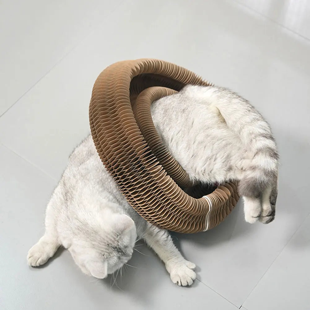 Magic Organ Cat Scratching Board Interactive Scratcher Cat Toy Foldable Cat Accordion Toy for Cats Grinding Claw Cat Accessories