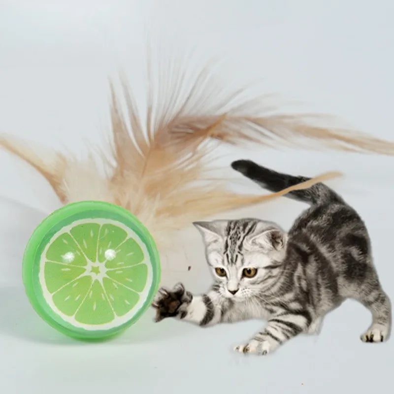 3pcs Cat Elastic Ball Toy Kitten Bouncing Ball with Feathers itten Funny Chasing Game Cat Feather Toys Cat Accessories
