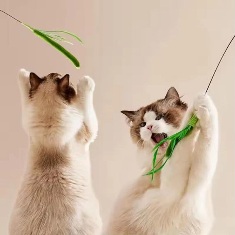 New Cat toys, dog tail grass teasing cat pole feather pole wire cat toys, feather pole, flexible wire durable pet supplies