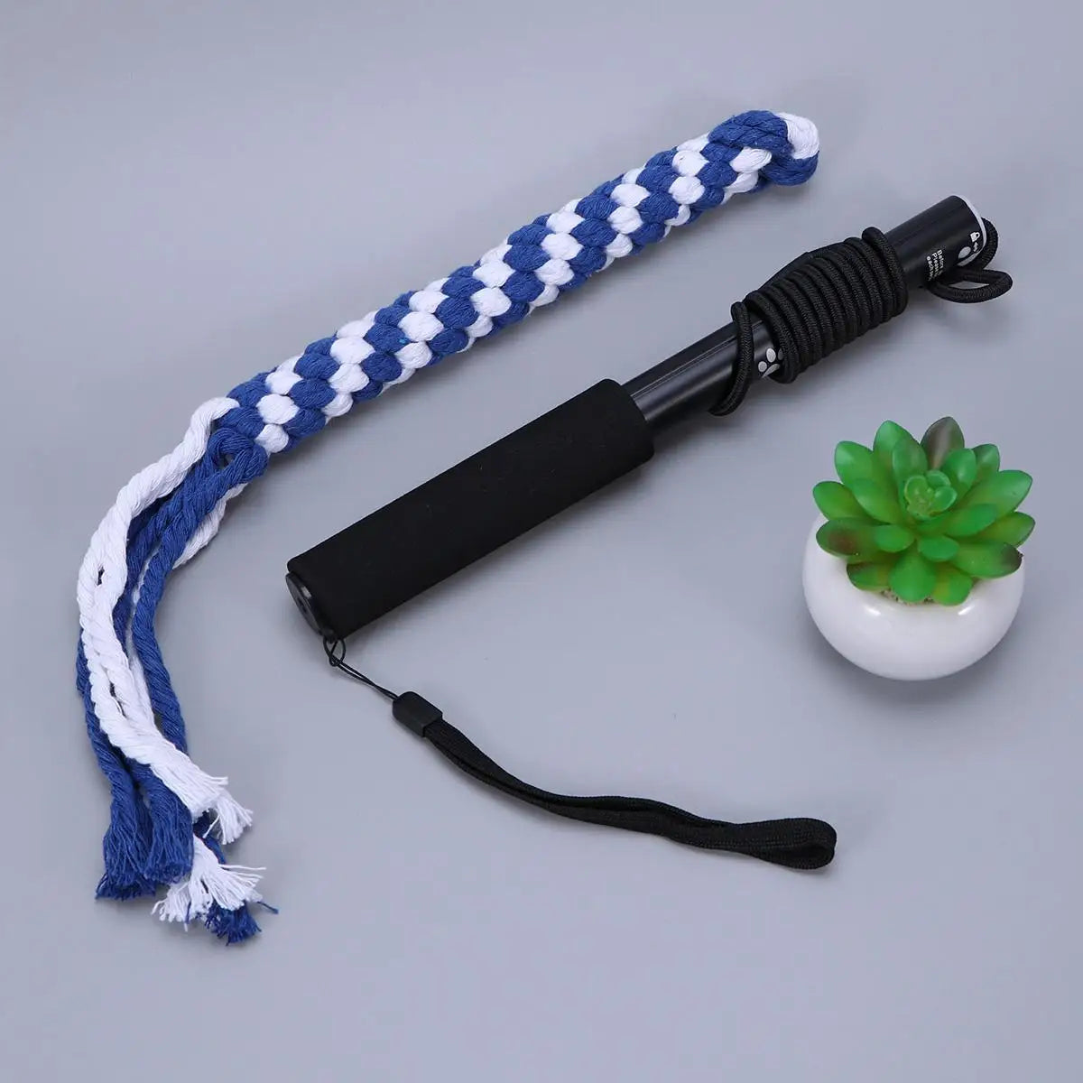 Interactive Dog Toys Extendable Flirt Pole Funny Chasing and Exerciser for Pets Size S (Black)