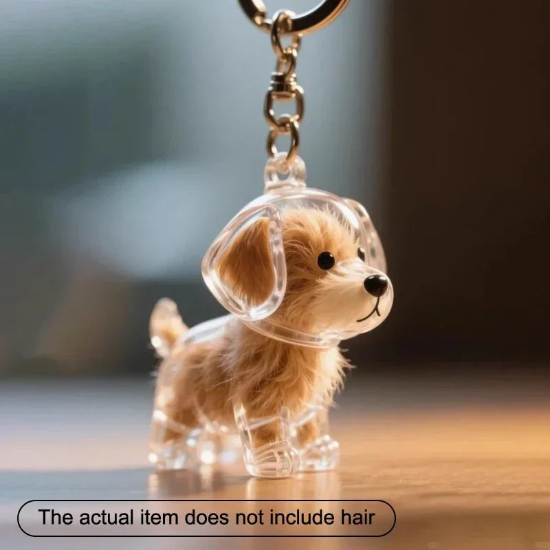 Dogs Hair Storage Pendant Cute Keychain Bag Pendant Couple Car Key Chains Jewelry Souvenir Collection Gift Decor Dog Accessories
