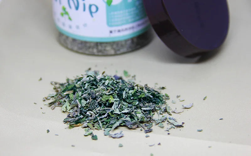 Organic 100% Natural High Quality Catnip Cattle Grass Mint Taste Funny Cat Toy New Cat Toy Interactive Cat Toys Pet Supplies