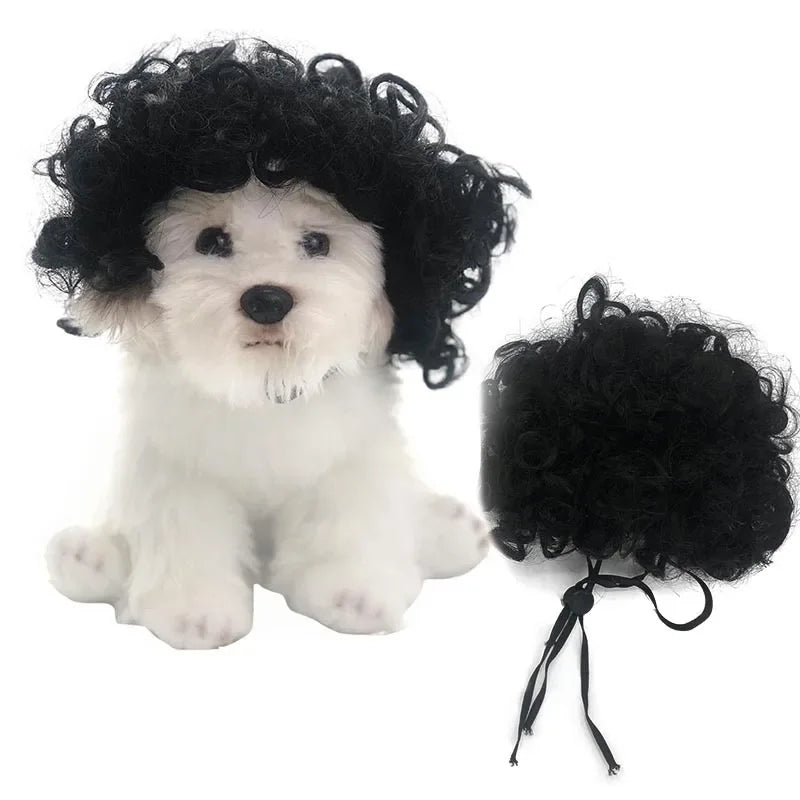Funny Pet Cosplay Dog Wig Cat Grooming Supplies Fashion Headwear Halloween Curly Hair Straight Hair Cat Accessories Perros