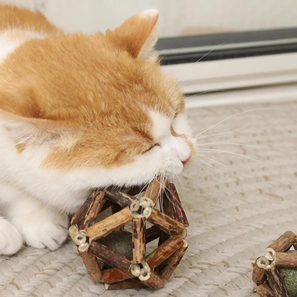 Catnip Silvervine Cat Toys Plaque Tartar Elimination Toys Natural Catnip Silvervine Ball Toy Set for Dental for Indoor for Teeth