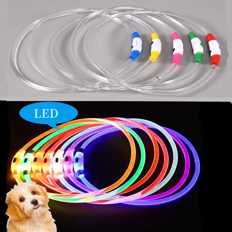 LED Pet Dog Luminous Collar With USB Rechargeable Dog Necklace Collar Teddy Anti Lost Collar Dog Cat Accessories Supplies