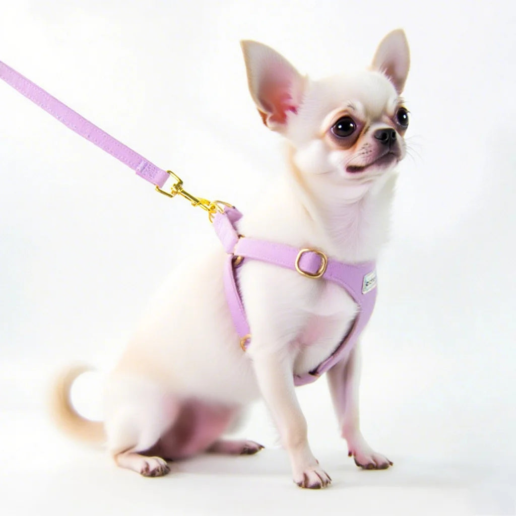 Newest Puppy Dog Harness and Leash Set for Small Dogs Adjustable Pet Harnesses Chihuahua Poodle Bichon Cat  Accessories