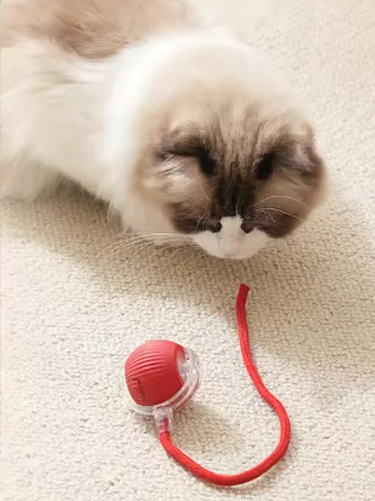 Self-satisfied cat toys that can be bitten by long-lasting smart cat balls automatically avoid pets with ropes and jump balls