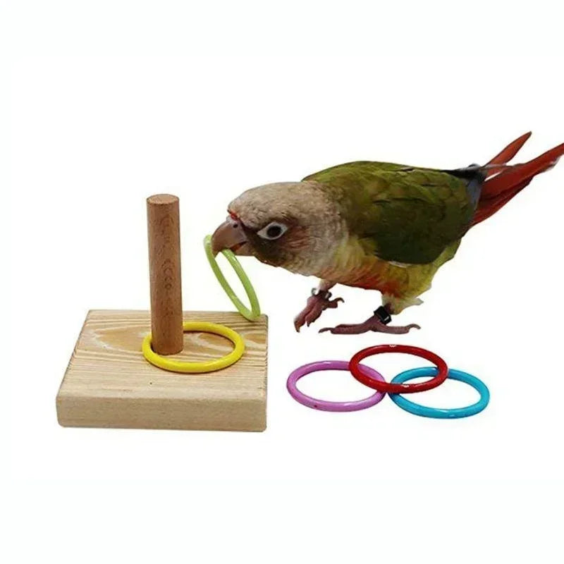 Bird Training Ring Toy Wooden Parrot Educational Toys Intelligence Training Interactive Bird Toys Bird Supplies Random Color