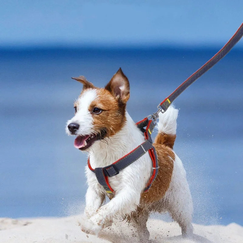 New Pet Leash and Harness Set Dog Adjustable Collar Set Pet Lead Vest Small Medium Large for Walking Training Dog Accessories