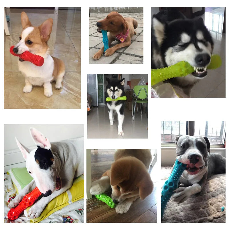 Caitec Dog Toys Squeaking Stick Springy Suitable for Tossing and Chasing Very Soft Pet Toy