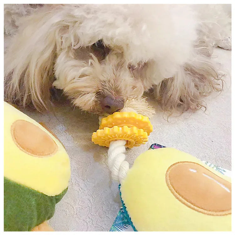 Pet Toys Sound Plush Toys Cute Plants Avocado Series Pet Molars Interactive Toys Cat and Dog Toys Bite Resistant