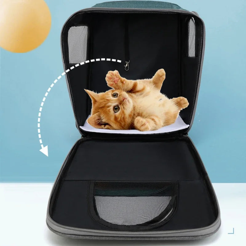 dog accessories Dog bed Backpack for dog Chihuahua French Bulldog Poodle ventilate Small dog carrying backpack Cat backpack