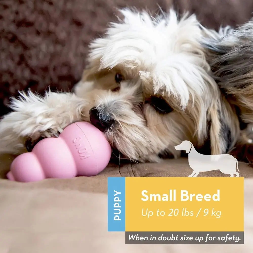 New Classic Kong Dog Toys Erratic Bounce Treat-Filling Capabilities Kong Puppy Toys Multiple Sizes Rubber Chew Toy