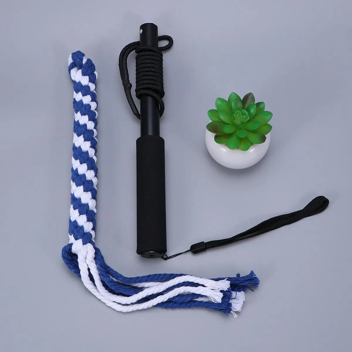 Interactive Dog Toys Extendable Flirt Pole Funny Chasing and Exerciser for Pets Size S (Black)