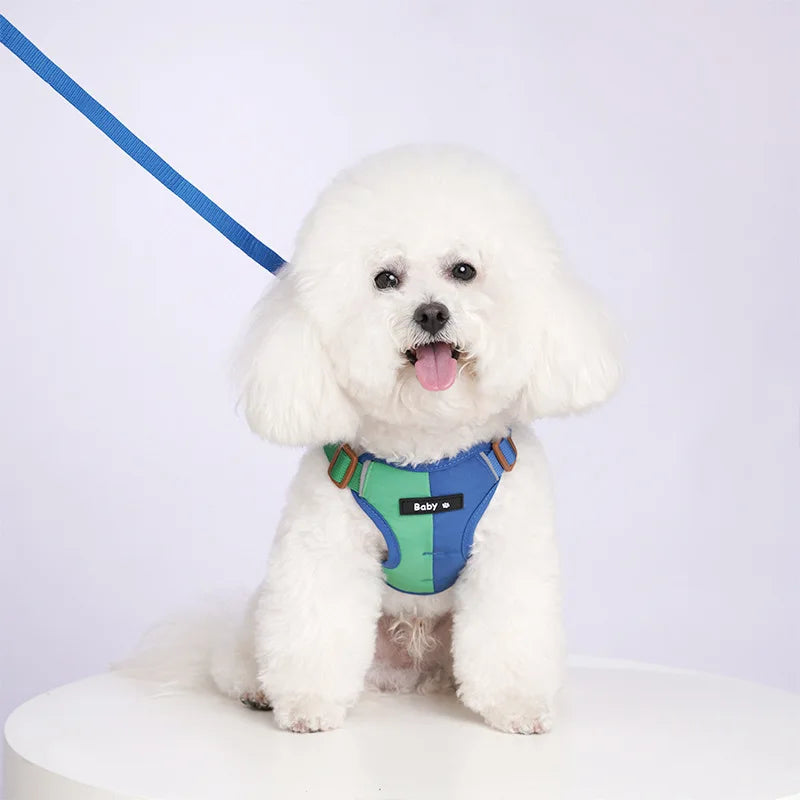 Dog Harness Leash Set Reflective Adjustable Pet Chest Strap Small Medium Dog Puppy Colorful Harness Cat Collars Dog Accessories