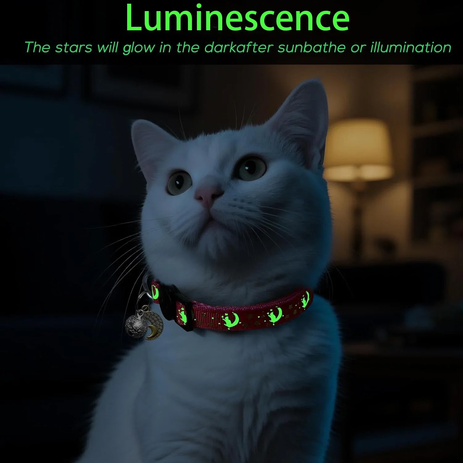 4 PCS Glow Cat Collars Breakaway with Bell Moons Stars,Cute Kitten Collar with Pendant for Girl Boy Cats Puppy, Cat Accessories