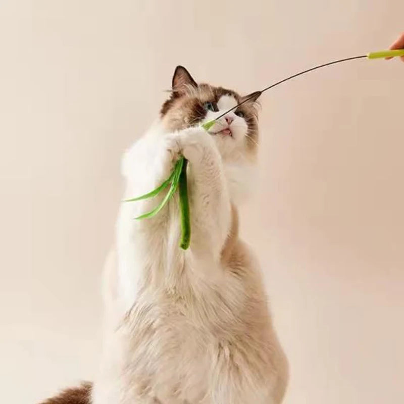 New Cat toys, dog tail grass teasing cat pole feather pole wire cat toys, feather pole, flexible wire durable pet supplies