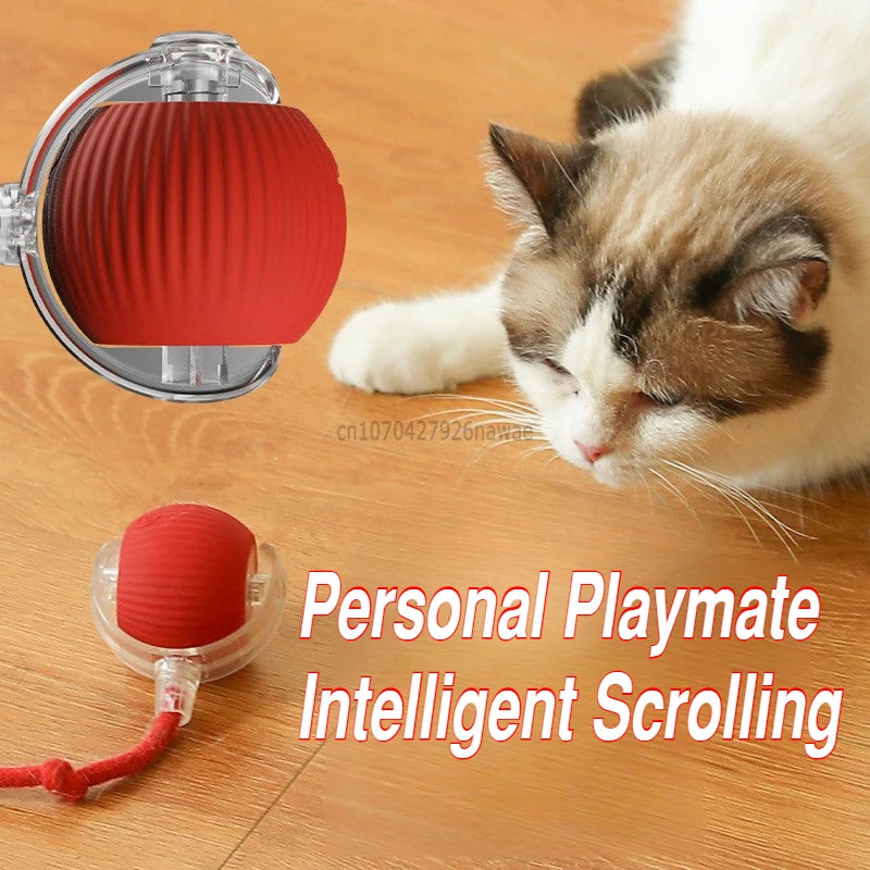 Interactive Toy for Cats Toy Automatic Rolling Ball Cat Accessories Rolling Ball Magic Ball Toys for Cat Training Imitate Mouse